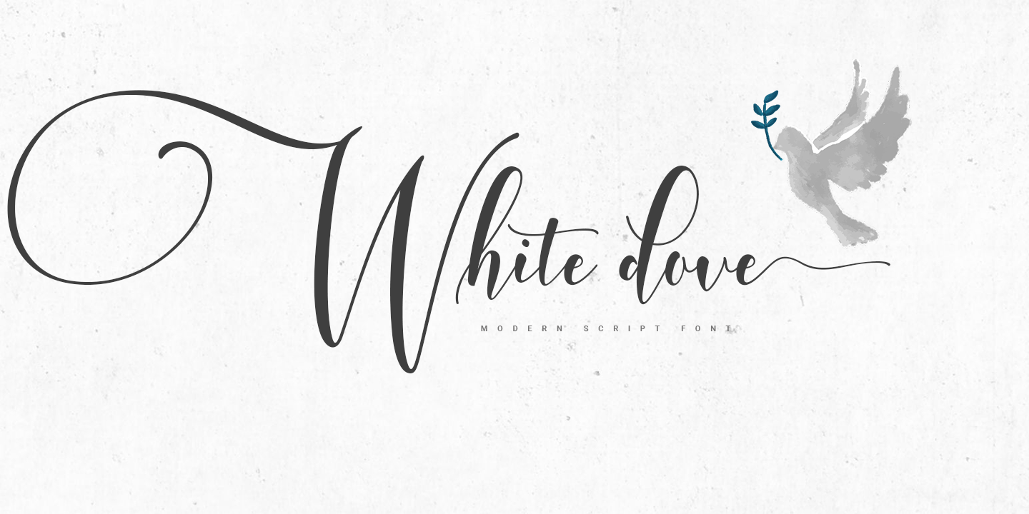 Przykładowa czcionka White Dove Script #1